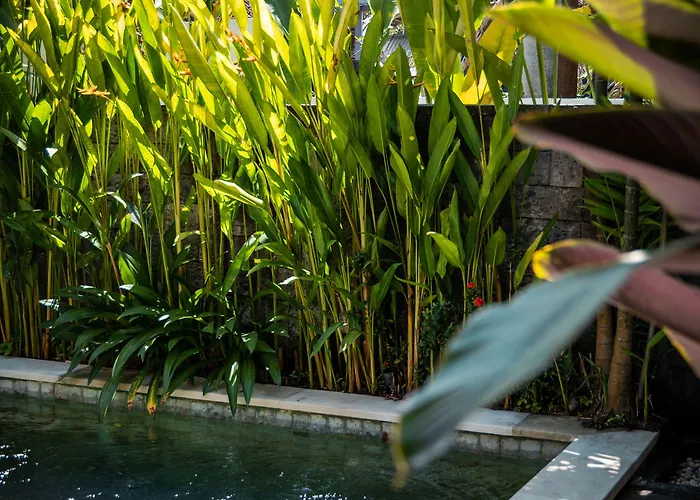 Hotel Tamantara *